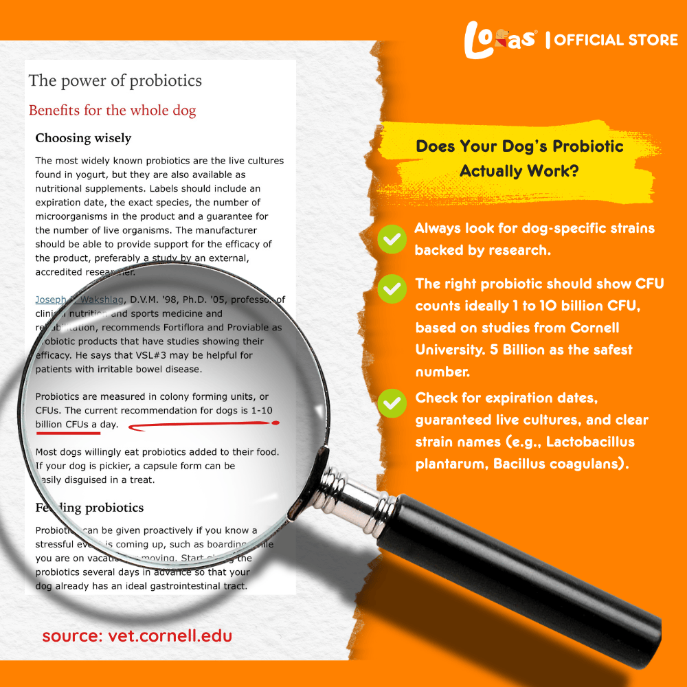 LORAS PAWBIOTICS - 5 Billion CFU – Dog Probiotics for Gut Health & Digestion– All Breeds | 1Box