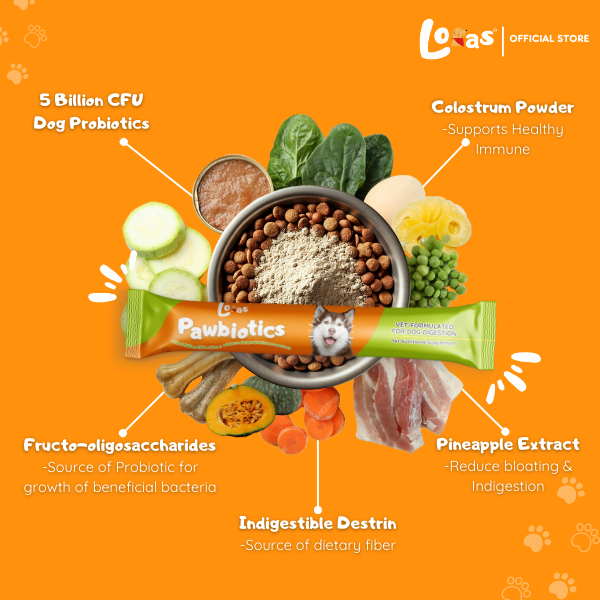 LORAS PAWBIOTICS - 5 Billion CFU – Dog Probiotics for Gut Health & Digestion– All Breeds | 1Box