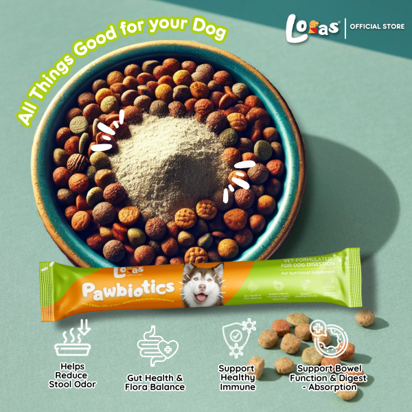 LORAS PAWBIOTICS - 5 Billion CFU – Dog Probiotics for Gut Health & Digestion– All Breeds | 1Box