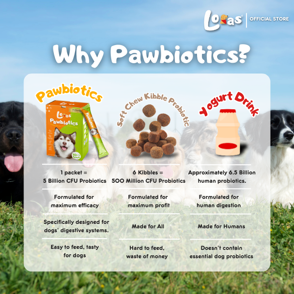 LORAS PAWBIOTICS - 5 Billion CFU – Dog Probiotics for Gut Health & Digestion– All Breeds | 1Box