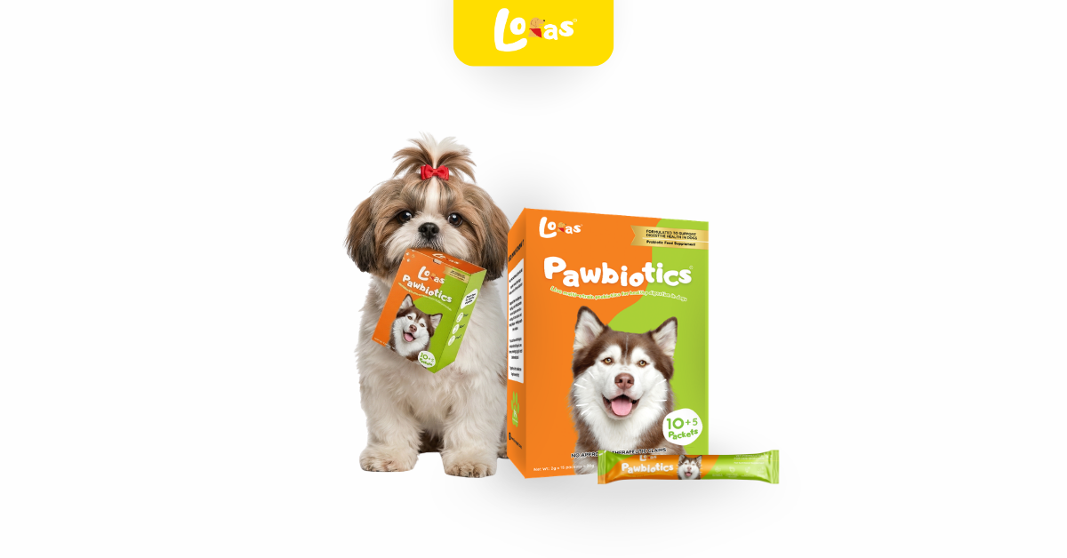 Loras Pawbiotics Dog Probiotic Supplement
