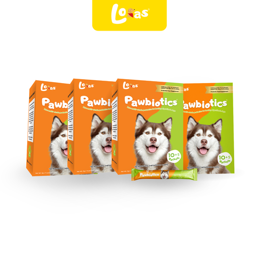 LORAS Pawbiotics Dog Probiotic Supplement | Spore-Forming, Heat & Acid Resistant Strains | 4 Boxes (Family Pack)