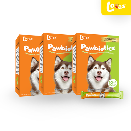 LORAS Pawbiotics Dog Probiotic Supplement | Spore-Forming, Heat & Acid Resistant Strains | 3 Boxes (Best Value)