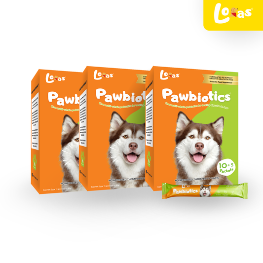 LORAS Pawbiotics Dog Probiotic Supplement | Spore-Forming, Heat & Acid Resistant Strains | 3 Boxes (Best Value)