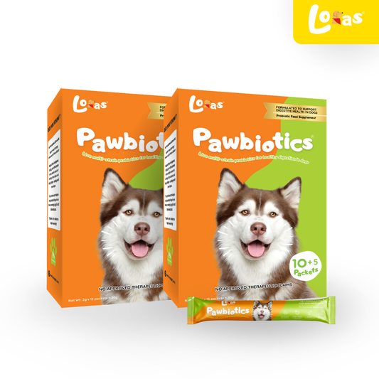 LORAS Pawbiotics Dog Probiotic Supplement | Spore-Forming, Heat & Acid Resistant Strains | 2 Boxes (Most Popular)