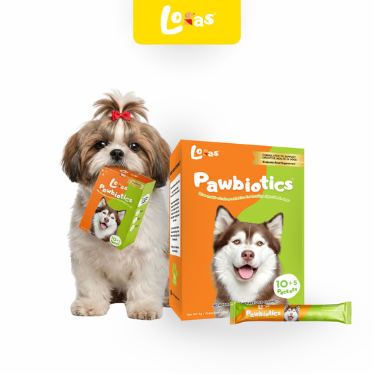 LORAS Pawbiotics Dog Probiotic Supplement | Spore-Forming, Heat & Acid Resistant Strains | 3 Boxes (Best Value)