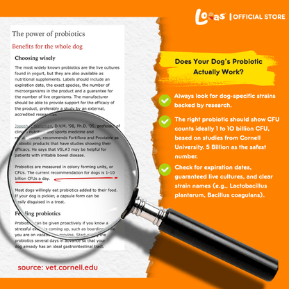 LORAS PAWBIOTICS - 5 Billion CFU – Dog Probiotics for Gut Health & Digestion– All Breeds | 1Box