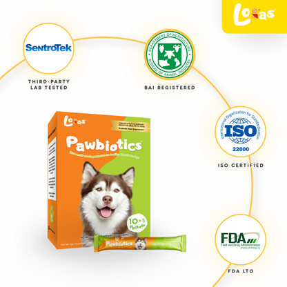 LORAS Pawbiotics Dog Probiotic Supplement | Spore-Forming, Heat & Acid Resistant Strains | 4 Boxes (Family Pack)