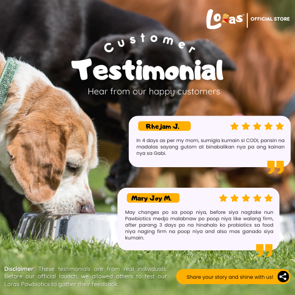 LORAS PAWBIOTICS - 5 Billion CFU – Dog Probiotics for Gut Health & Digestion– All Breeds | 1Box