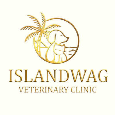Islandwag Veterinary Clinic